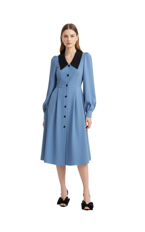 Kleid mit Knopfleiste